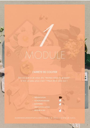 Module 1 : présentation