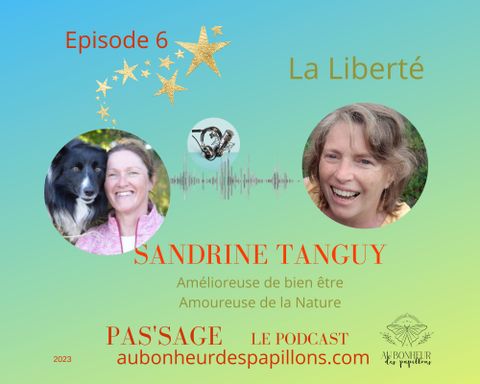 Saison 2 : La liberté